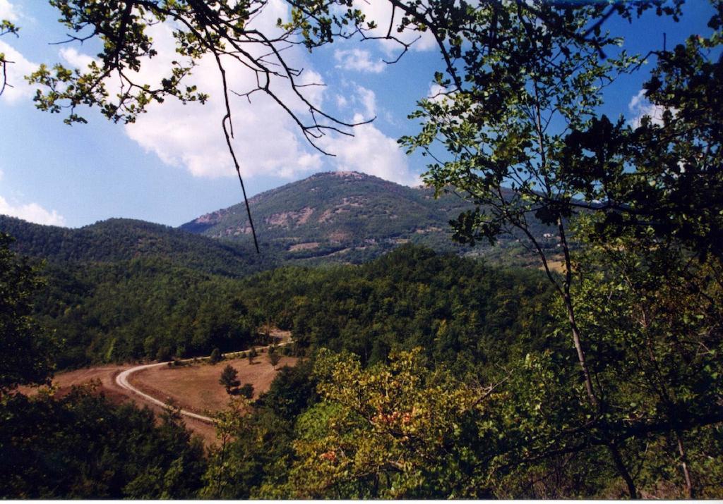 Agriturismo Monte Acuto Umbertide Dış mekan fotoğraf