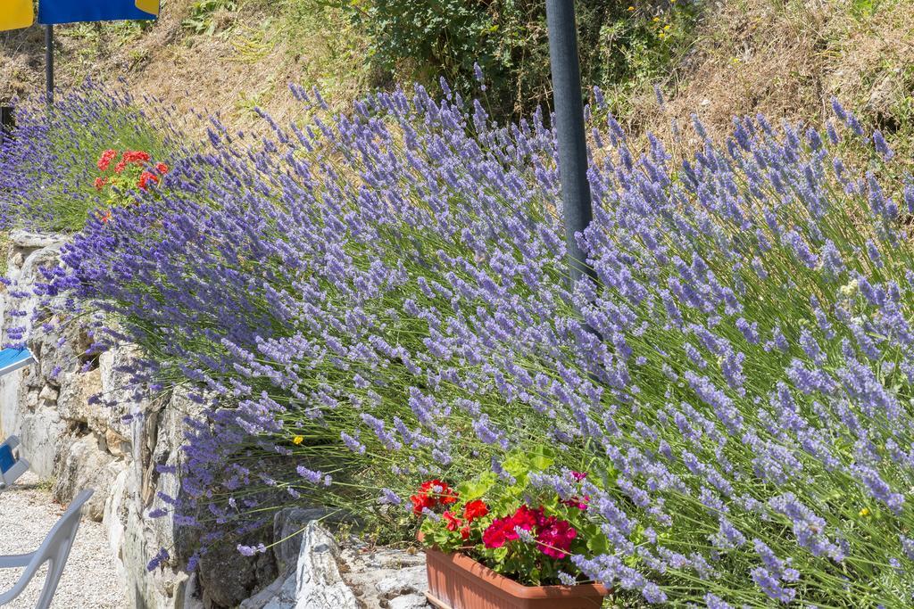 Agriturismo Monte Acuto Umbertide Dış mekan fotoğraf